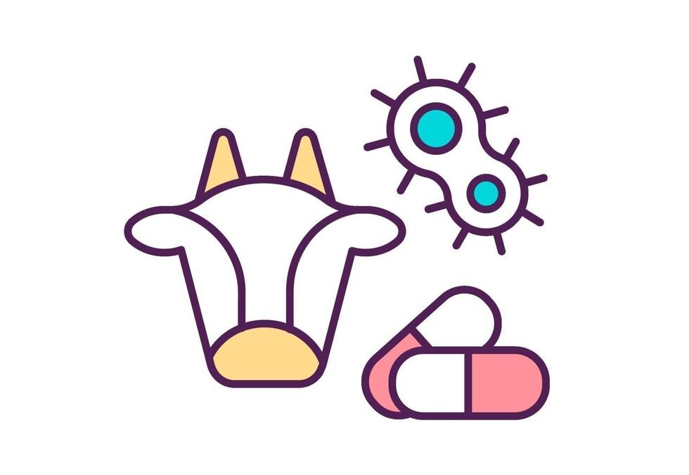 Medicamentos Veterinarios en España